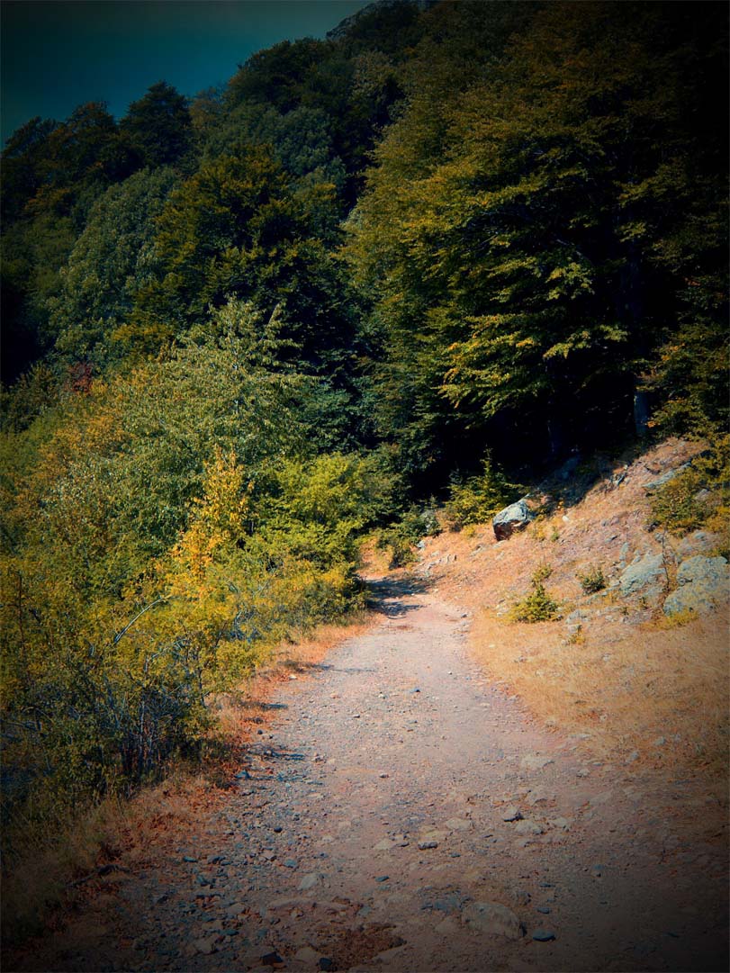 The Way - 