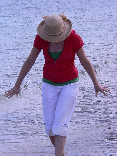 DANCING WITH THE WAVES - 