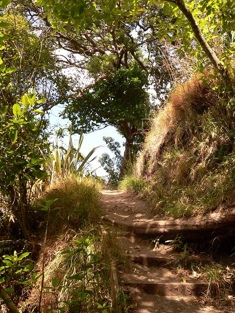 STRESS FREE ROAD - 