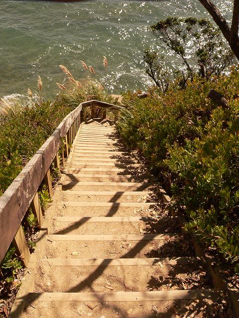 DOWNSTAIRS FROM HEAVEN - 