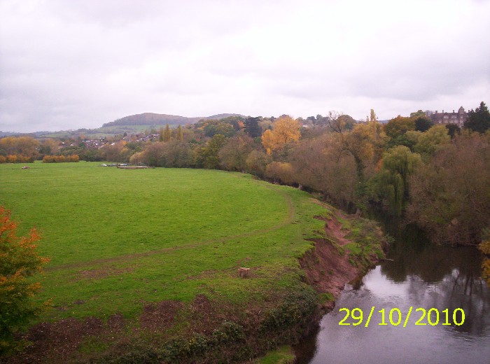 Autumn View - 