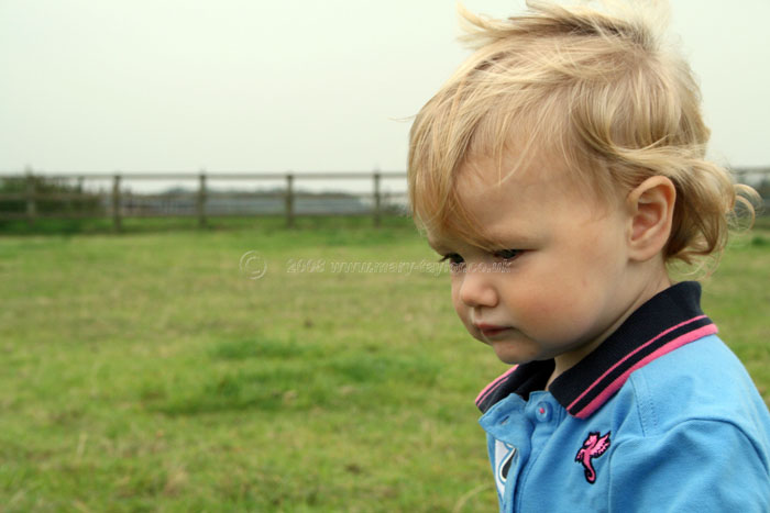 Untitled - 