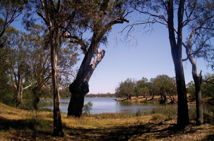 Murray River Australia - 