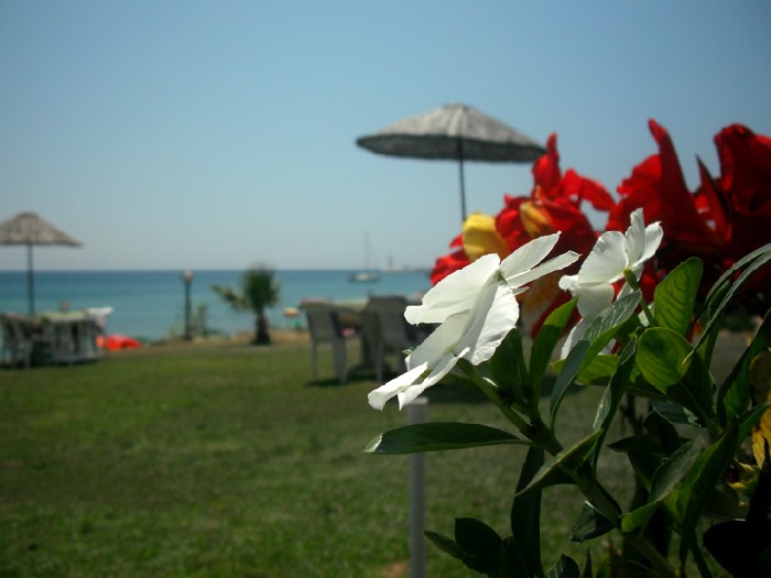 Turquoise Beach - 