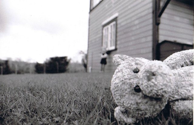 Lost Teddy - 