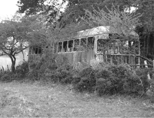 The Ol Bus - 