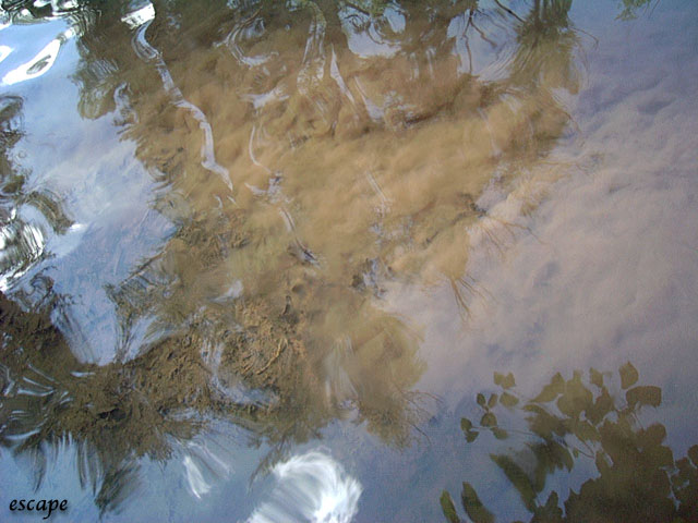 River Reflection - 