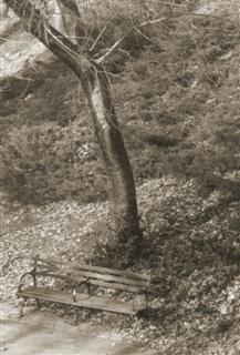 Central Park - 