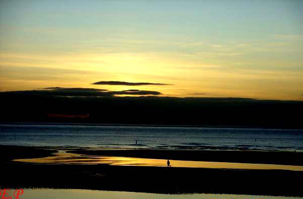 Sunset Jogger - 