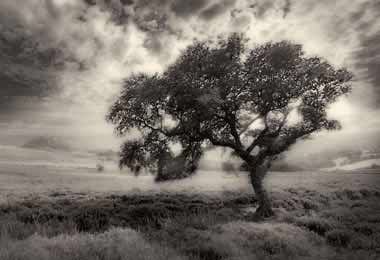 Untitled - 