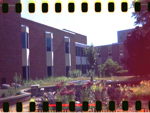 Kellogg Community College - 