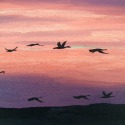 Geese by Joe Robinson