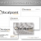 Focal Point Consulting Services- Mark and Stationa