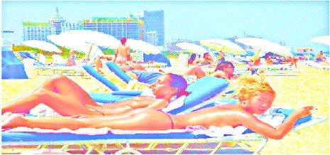 Sobe Beauties - 