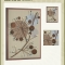 Home Decorative Accessories