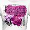 Shirt design