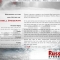 Flash website